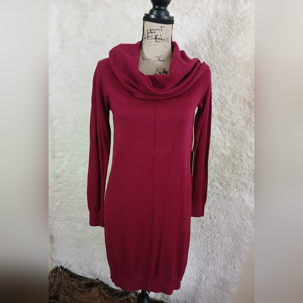 Express Women's Burgundy Knee-Length Sweater Dress